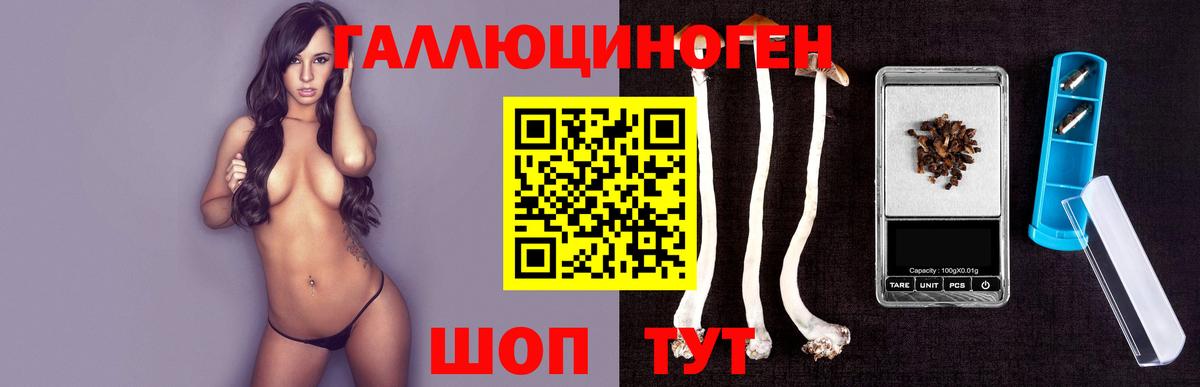 Новотроицк  Галлюциногенные грибы Psilocybine cubensis  Псилоцибиновые грибы Psilocybe  Вход с VPN 
