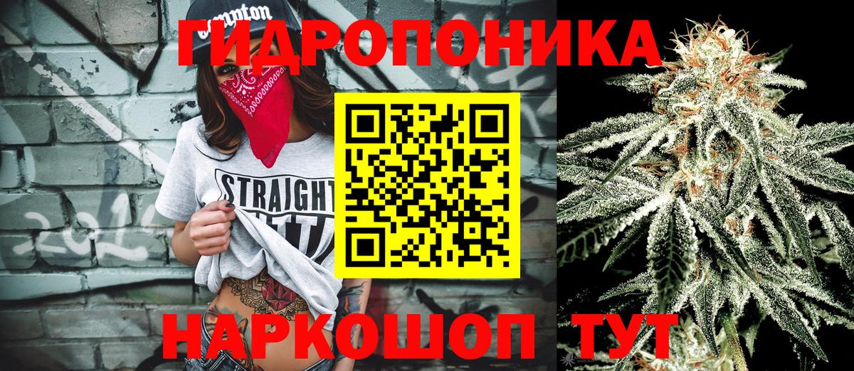 Марихуана семена  Вход с VPN  Новотроицк  Марихуана Amnesia 
